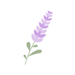 Logo de frescalavanda.com.ar