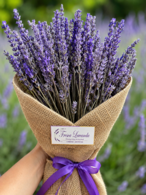 Ramo de lavanda seco